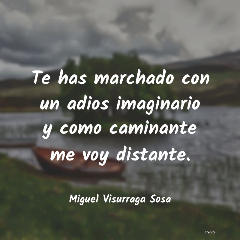 Frases de Miguel Visurraga Sosa