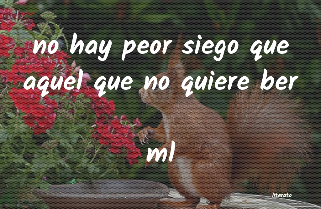 frases de ml