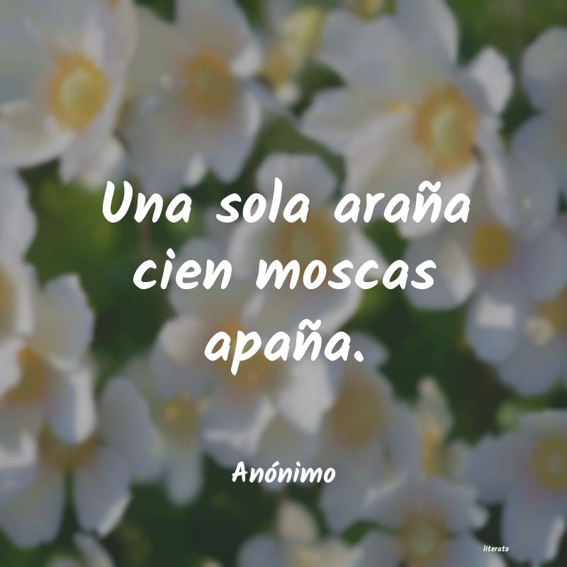 frases