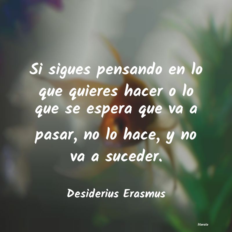 Frases de Desiderius Erasmus