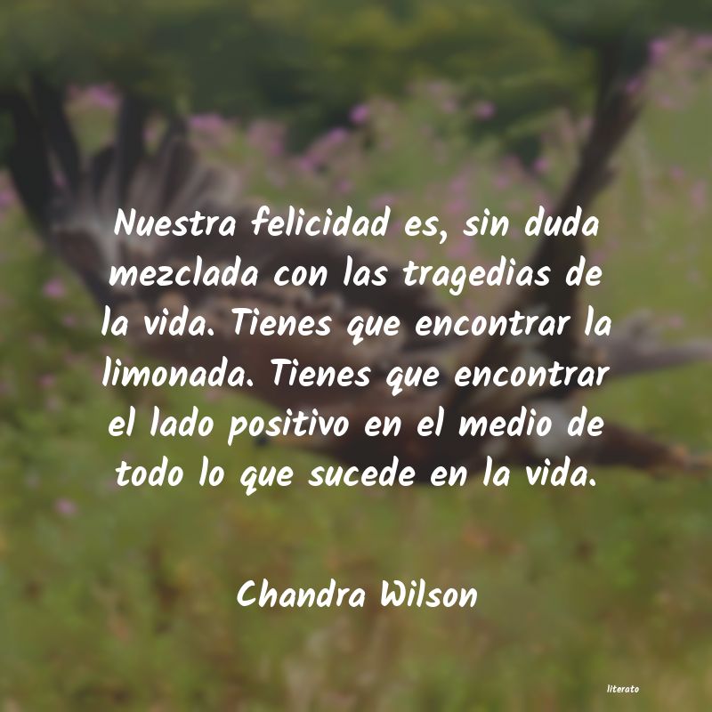 Frases de Chandra Wilson