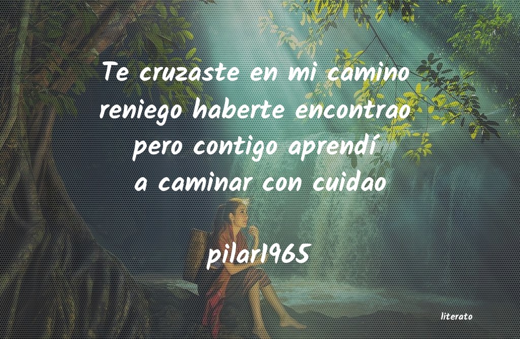 frases de pilar1965