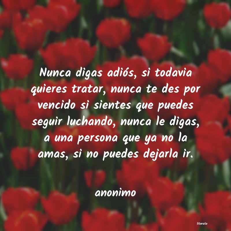 te digo adios y acaso te quiera todavia