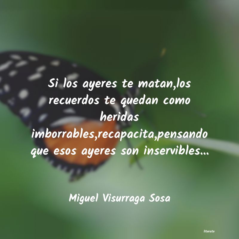 Frases de Miguel Visurraga Sosa