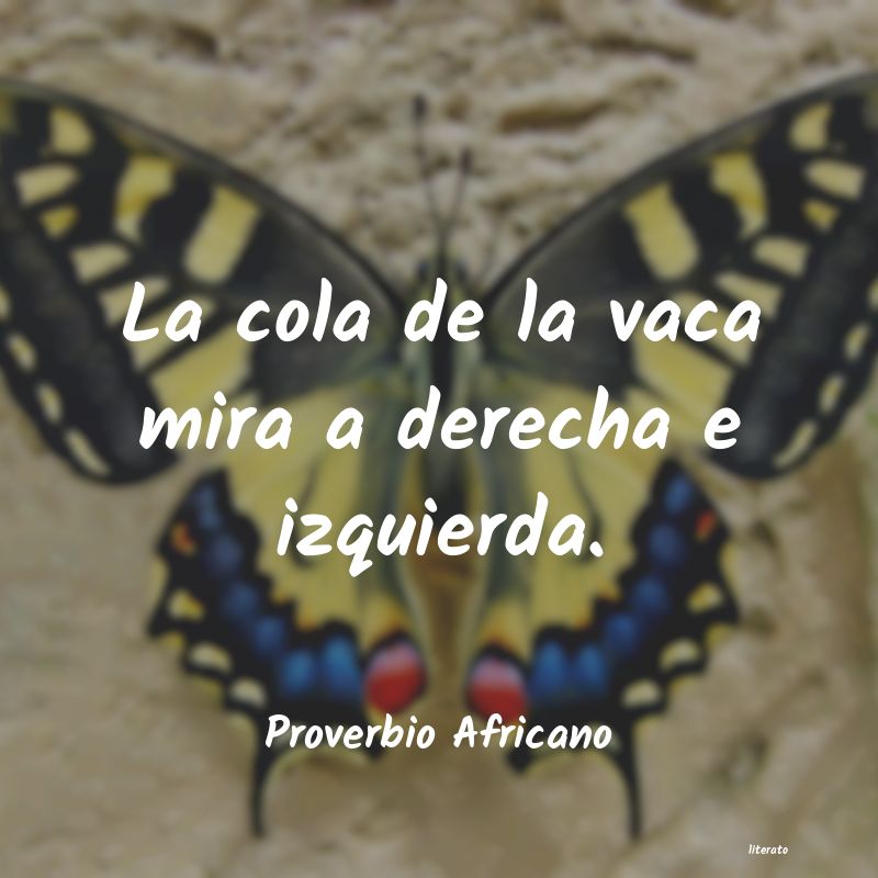 frases de Proverbio Africano