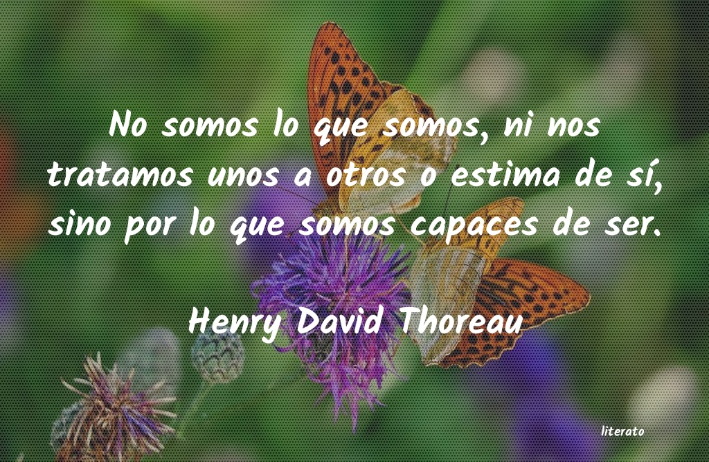 frases de Henry David Thoreau