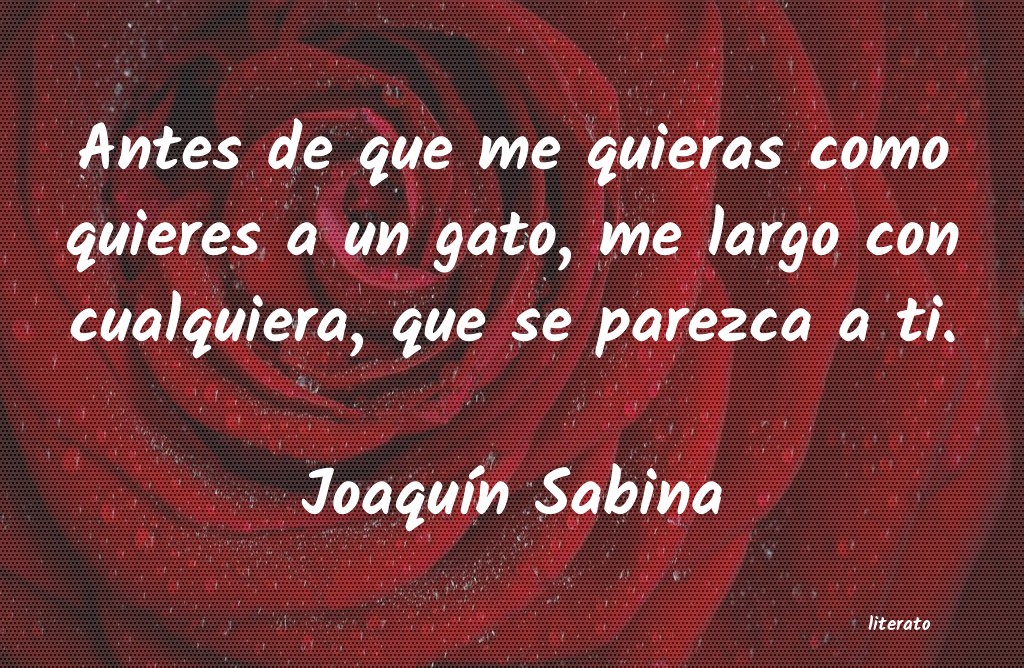 Frases de Joaquín Sabina