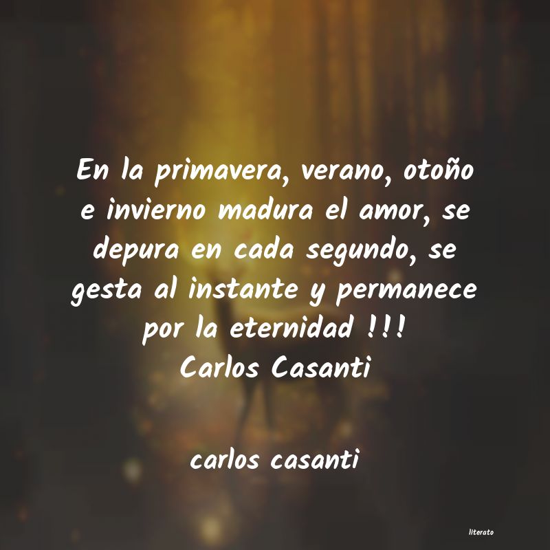 frases de carlos casanti