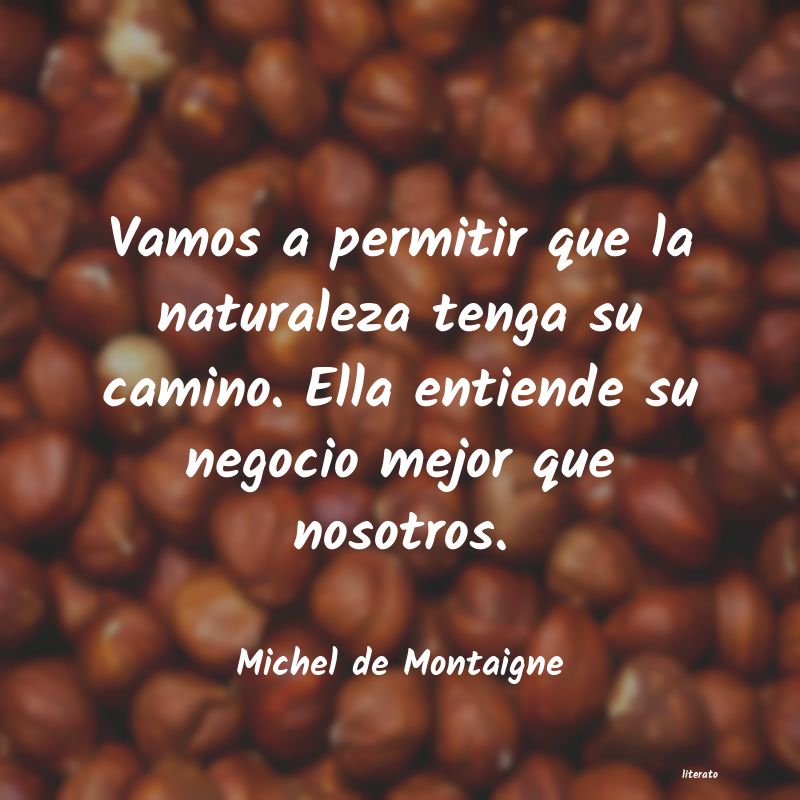 frases de Michel de Montaigne