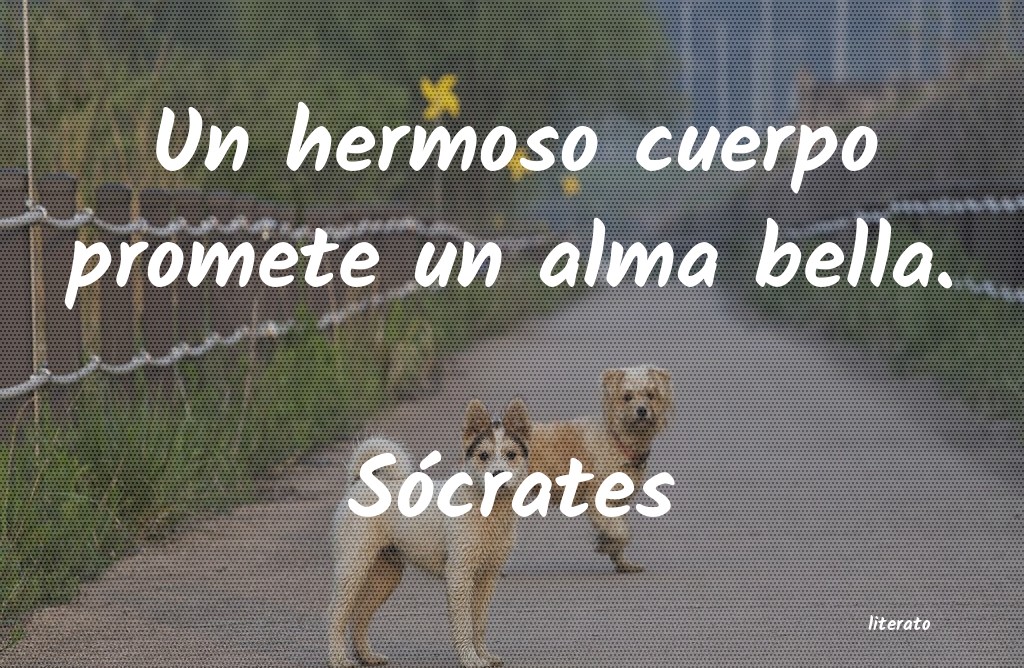 Frases de Sócrates