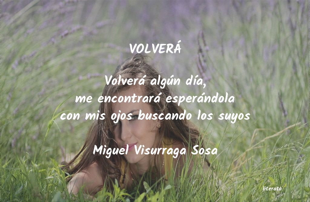 Frases de Miguel Visurraga Sosa