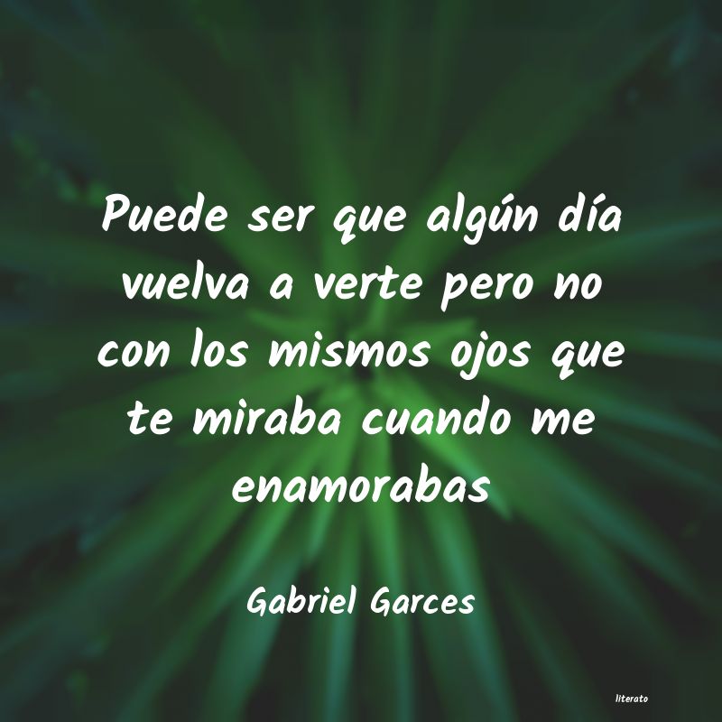 frases de Gabriel Garces