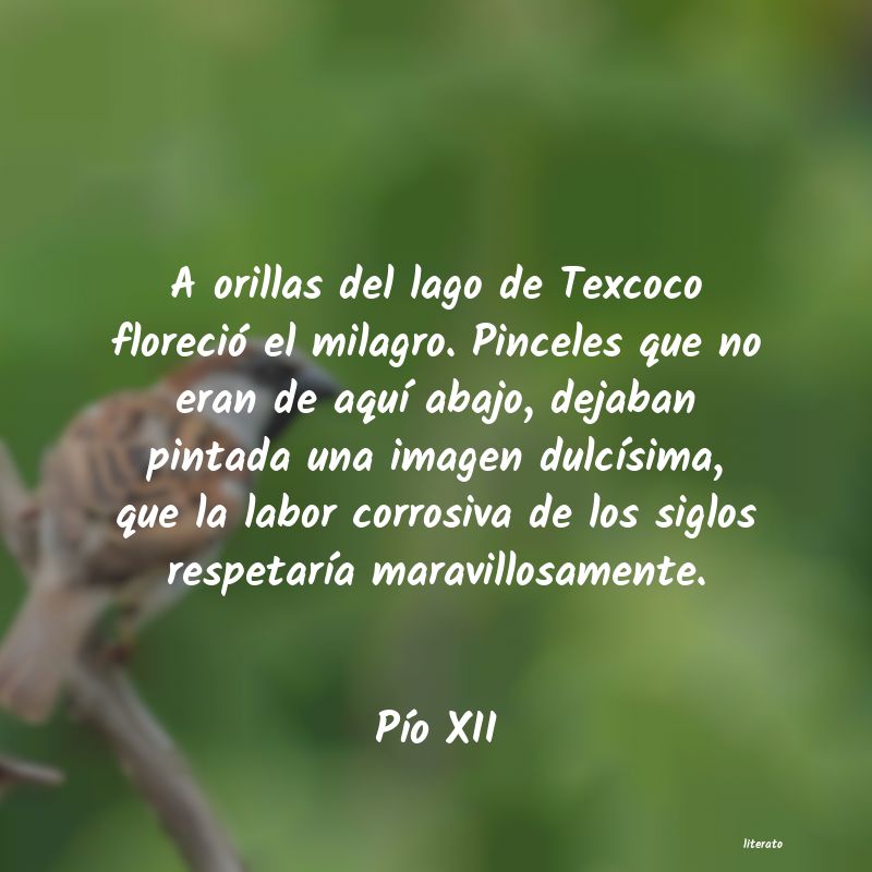 Frases de Pío XII