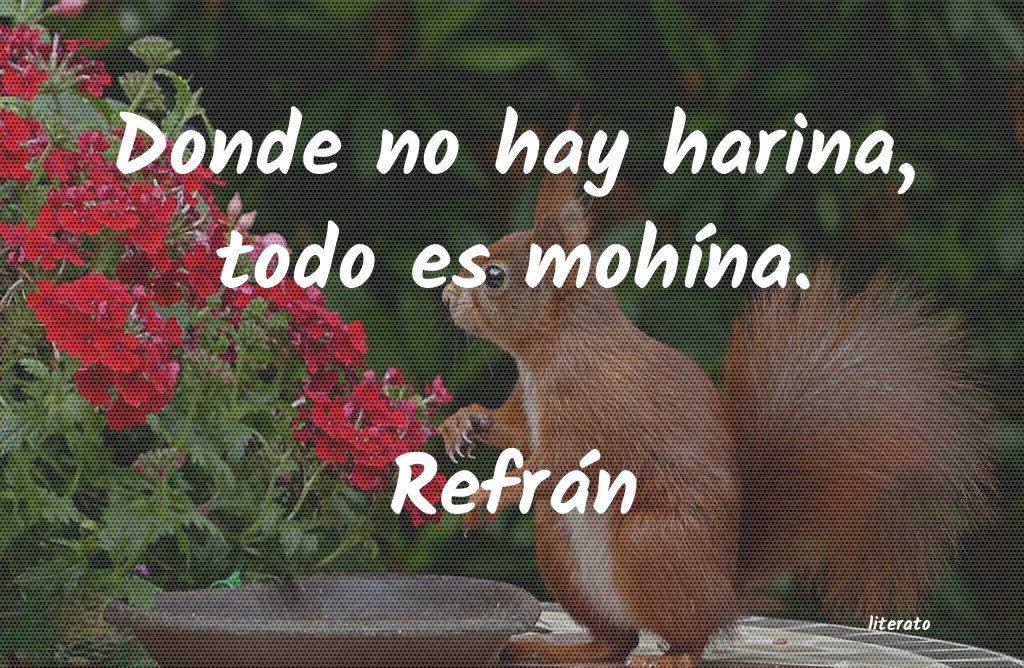 Frases de Refrán