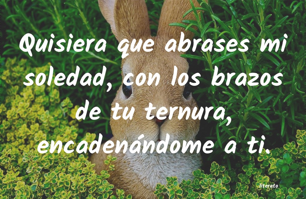 frases