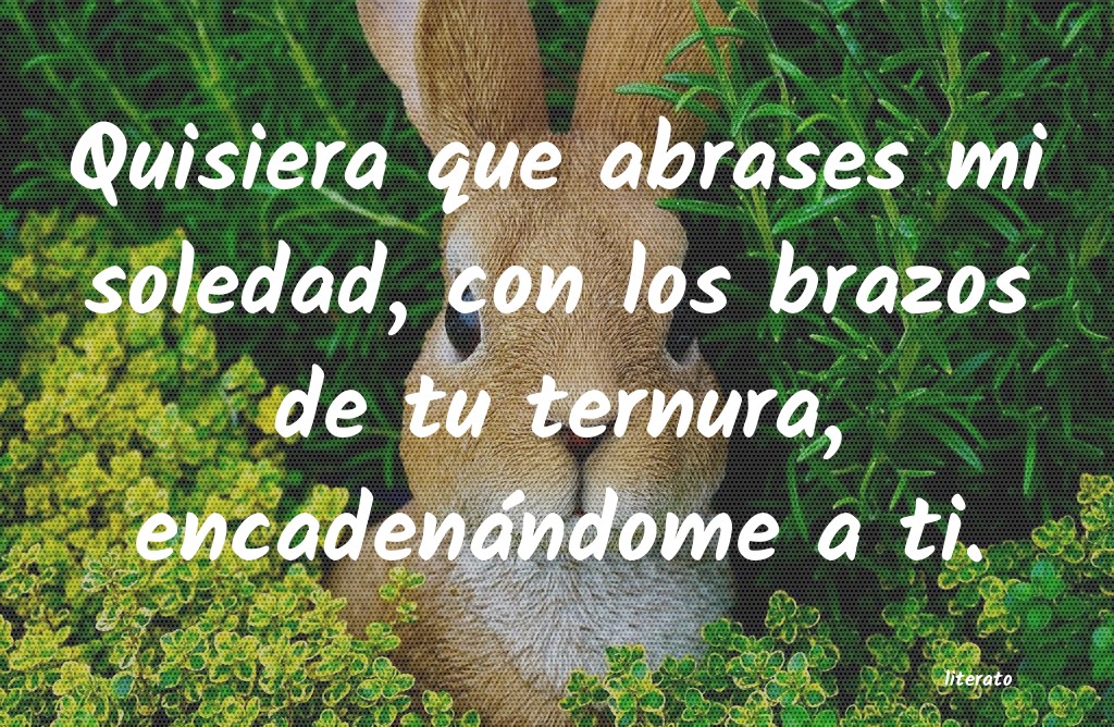 Frases de 