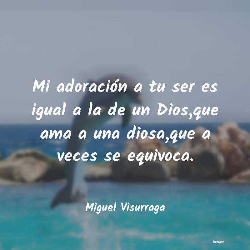 Frases de Miguel Visurraga