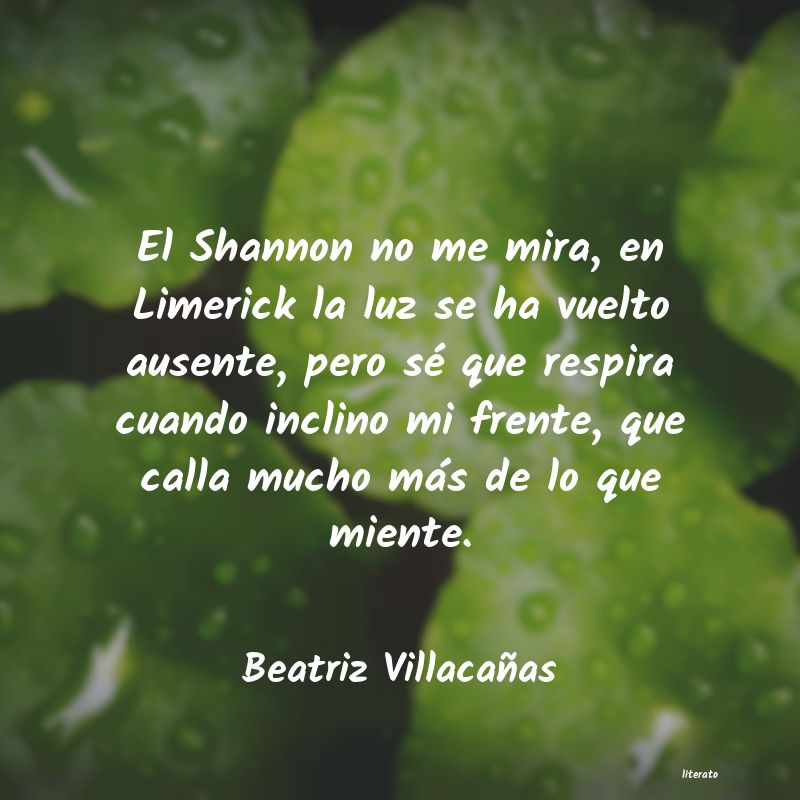 frases de Beatriz Villacañas