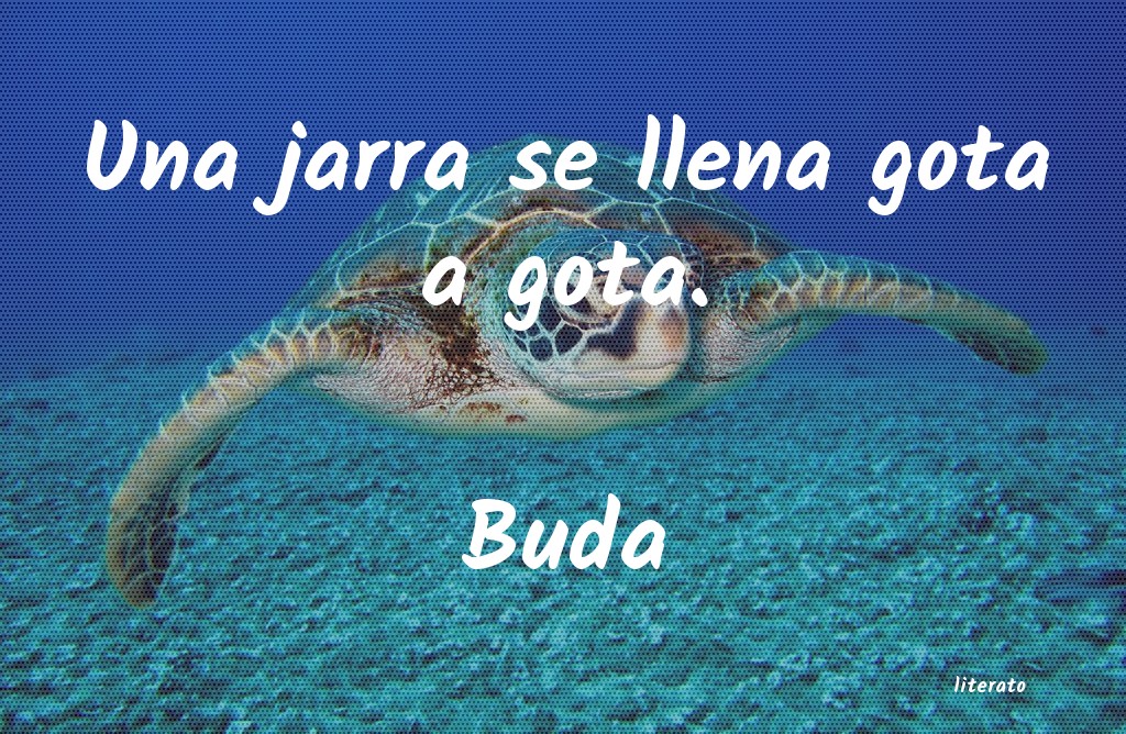 Frases de Buda