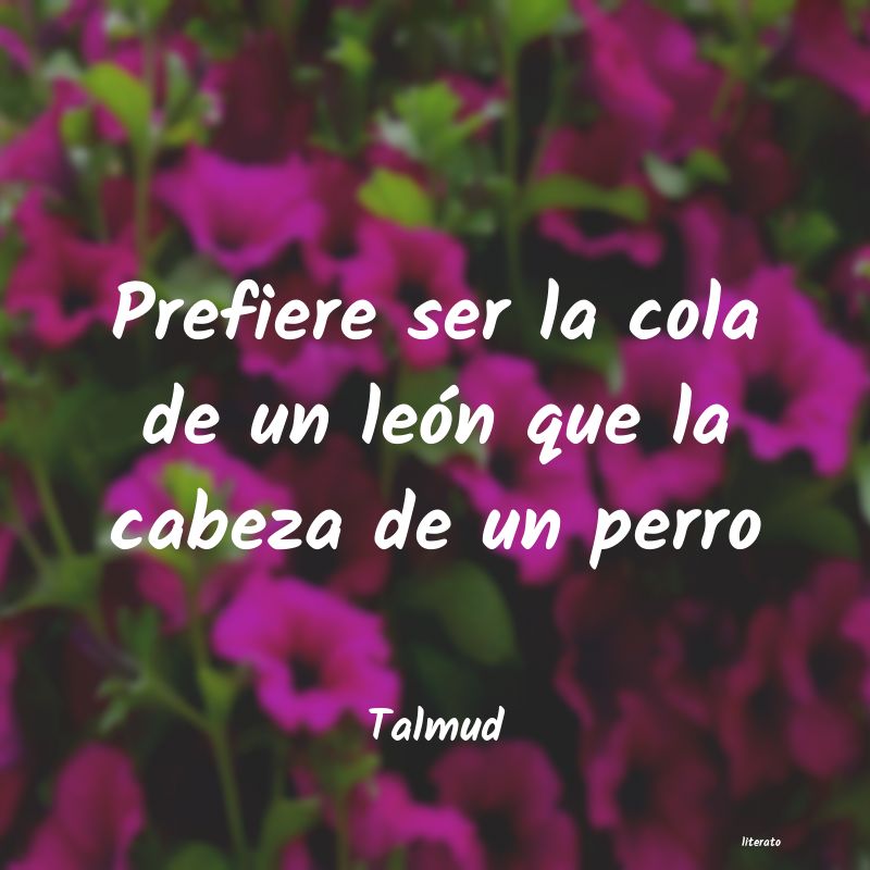 Frases de Talmud