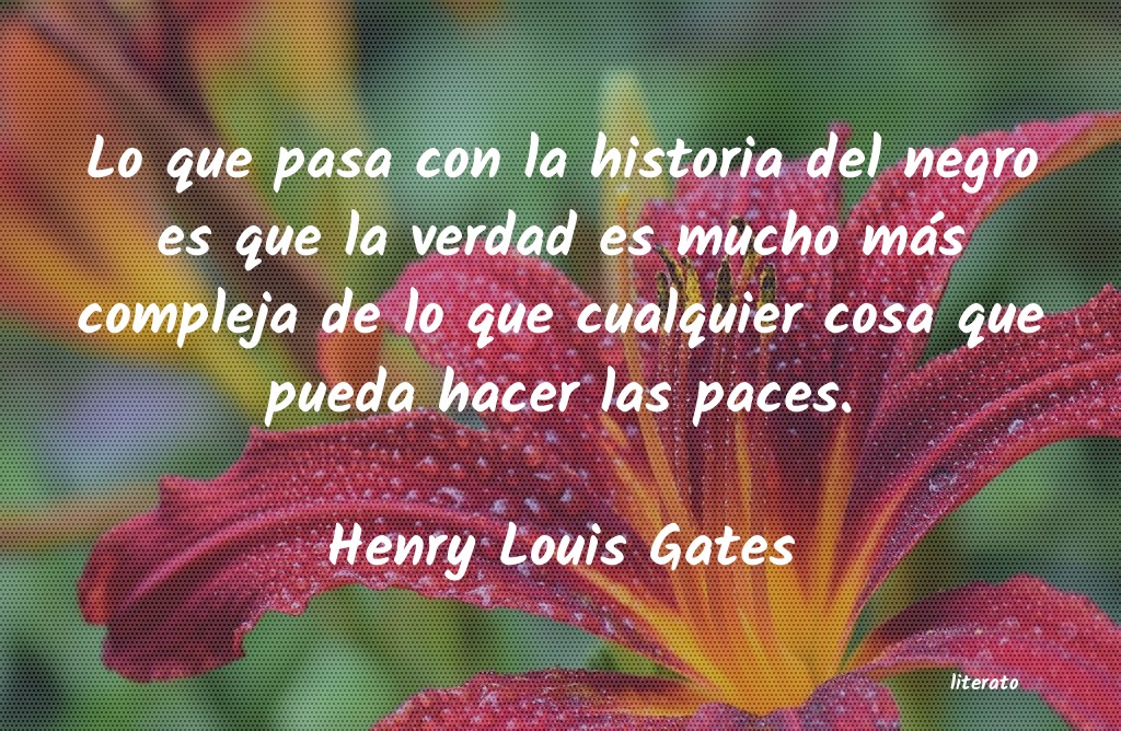 Frases de Henry Louis Gates