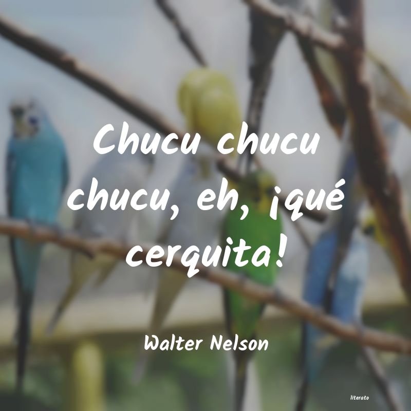 frases de Walter Nelson