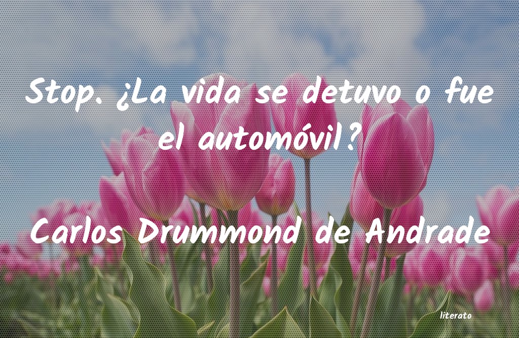 frases de Carlos Drummond de Andrade