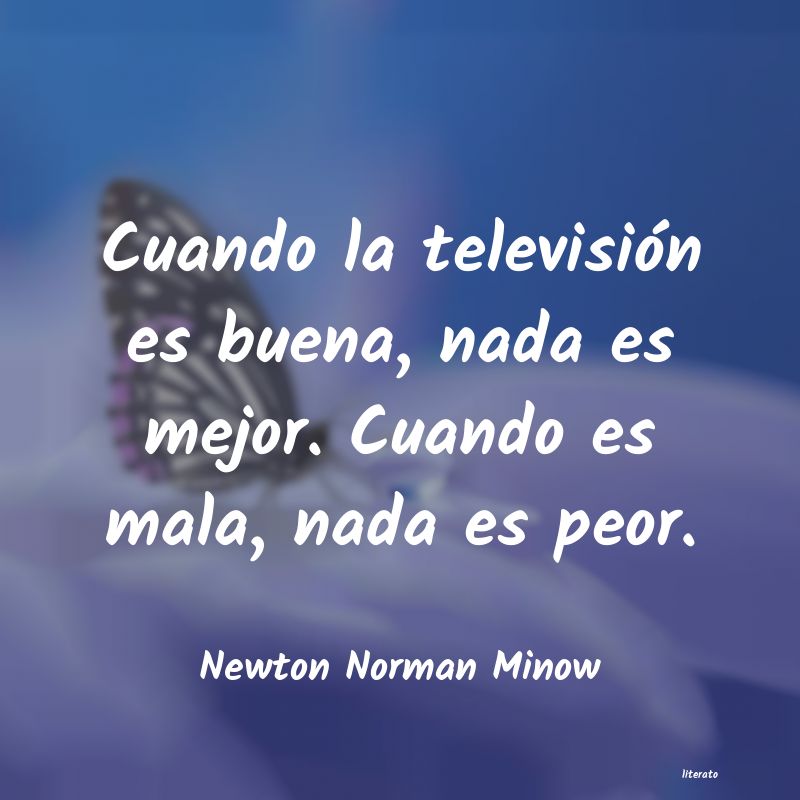 frases de Newton Norman Minow