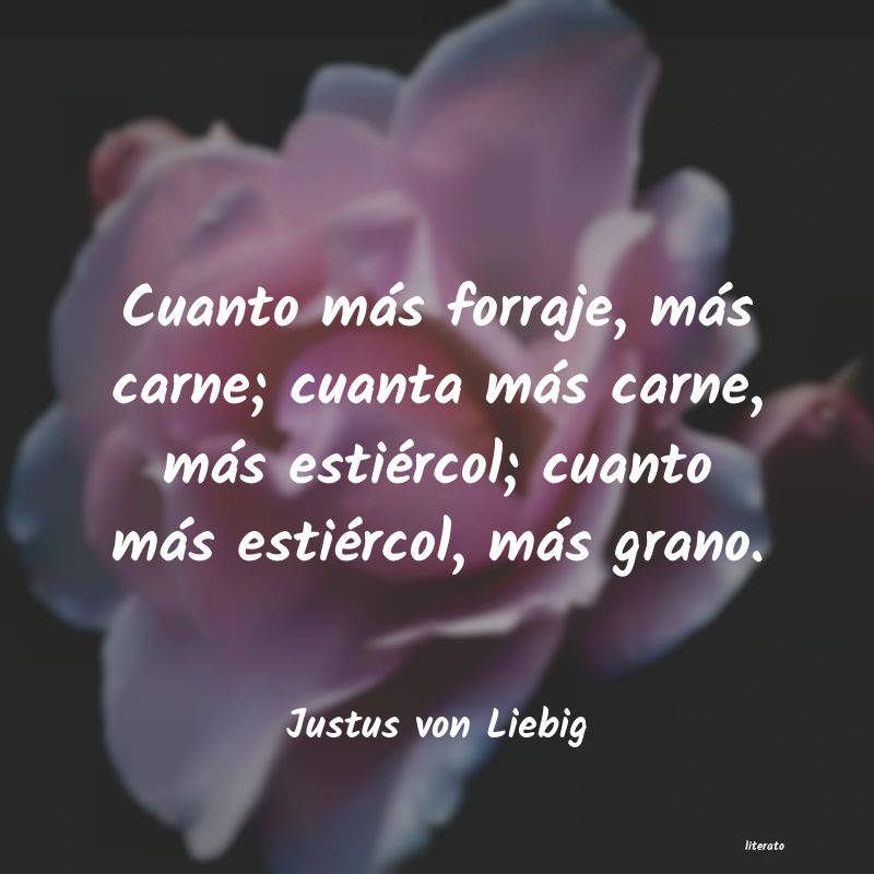 frases de Justus von Liebig
