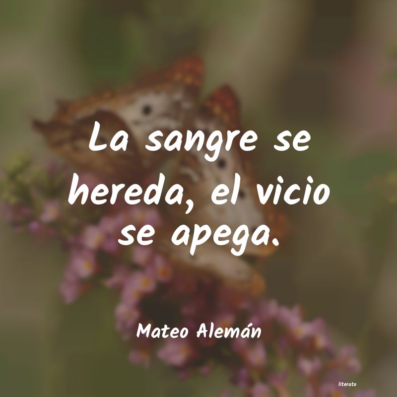 Frases de Mateo Alemán