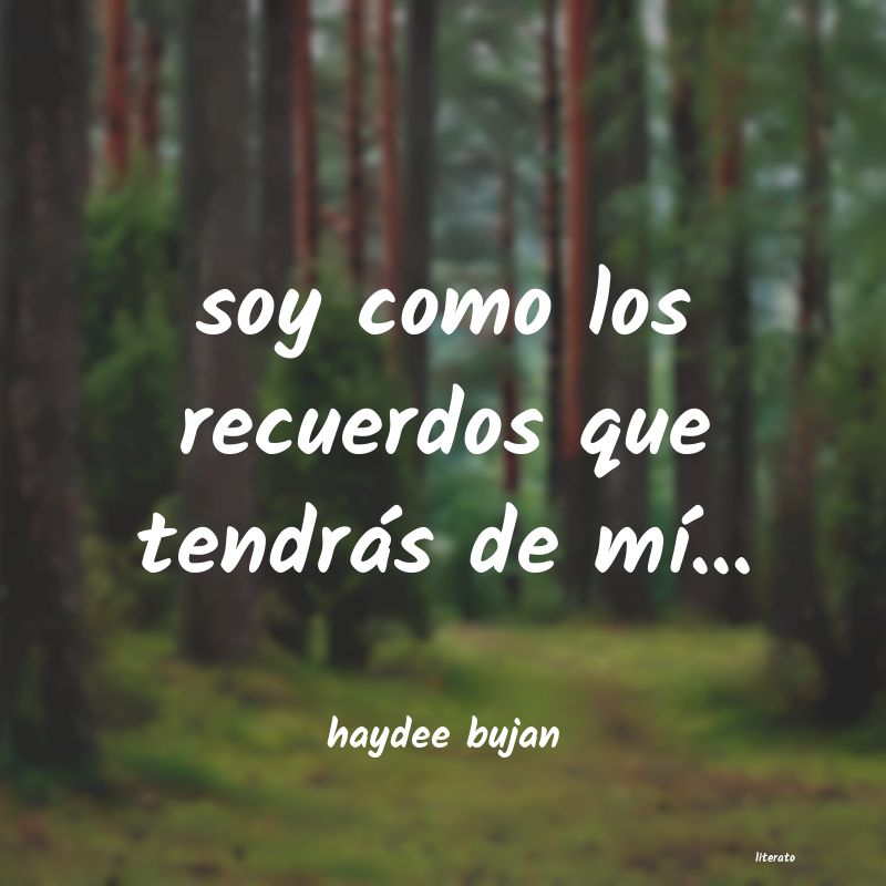 Frases de haydee bujan