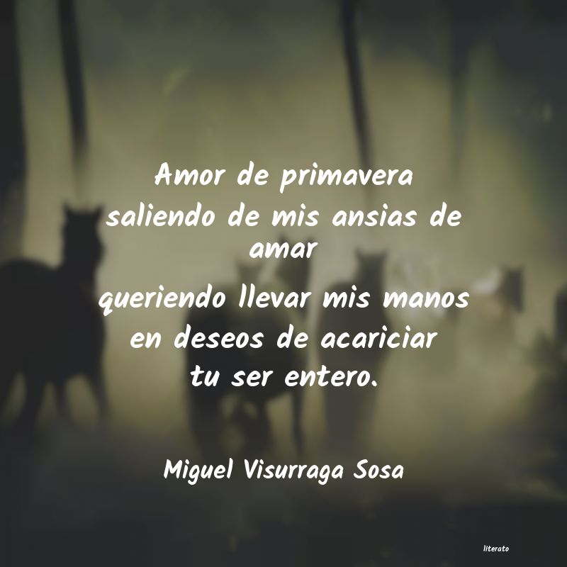 Frases de Miguel Visurraga Sosa