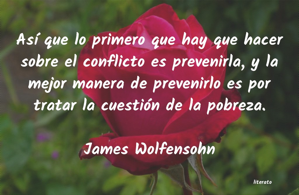 Frases de James Wolfensohn