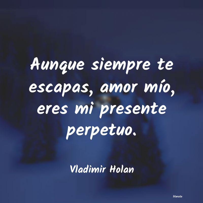 Frases de Vladimir Holan