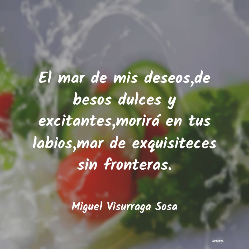 frases de Miguel Visurraga Sosa