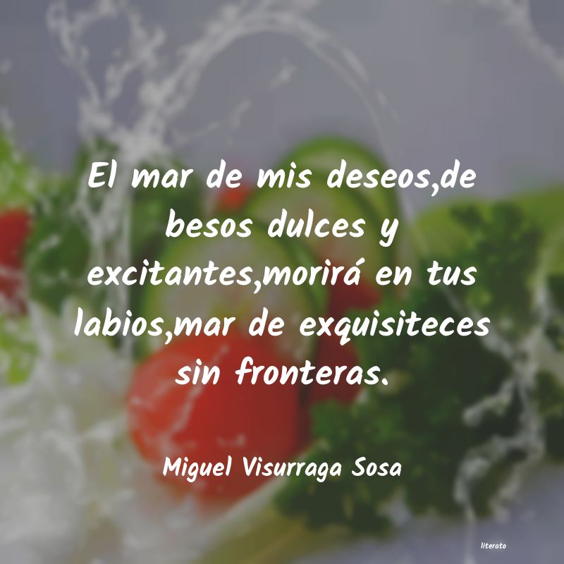 Frases de Miguel Visurraga Sosa