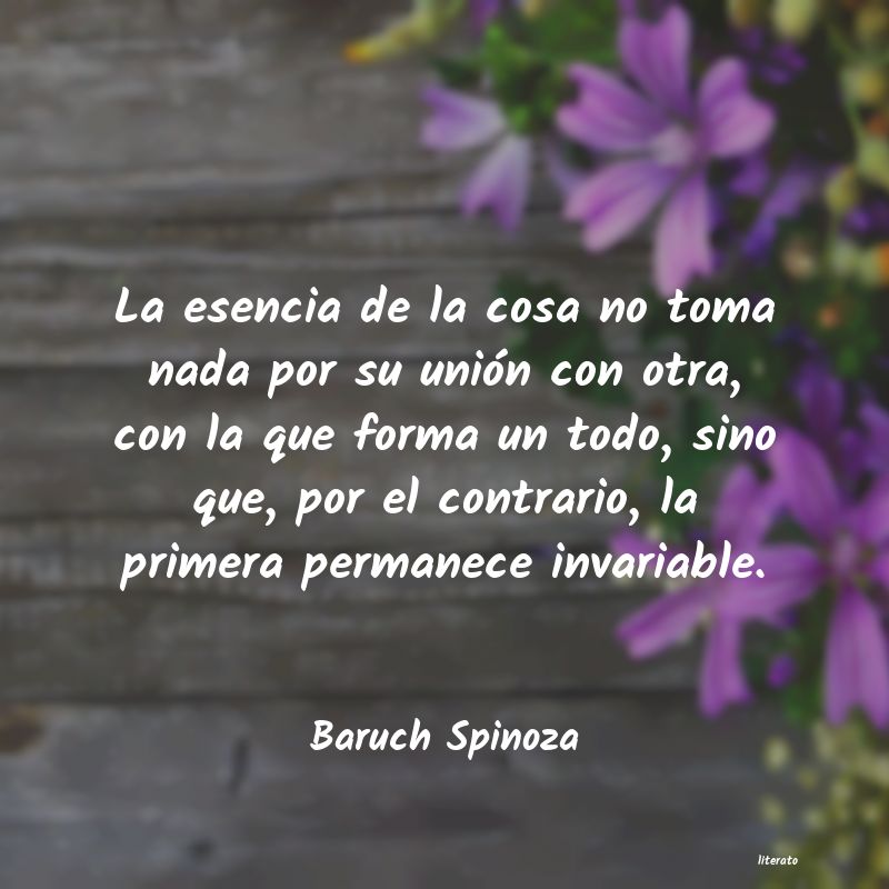 Frases de Baruch Spinoza