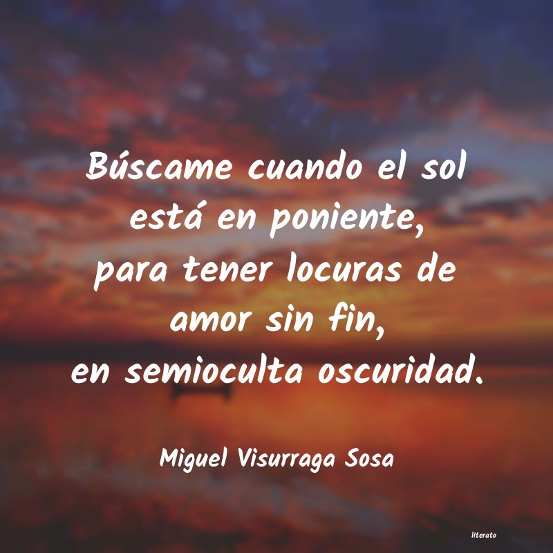 Frases de Miguel Visurraga Sosa