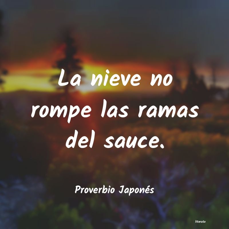 frases de Proverbio Japonés
