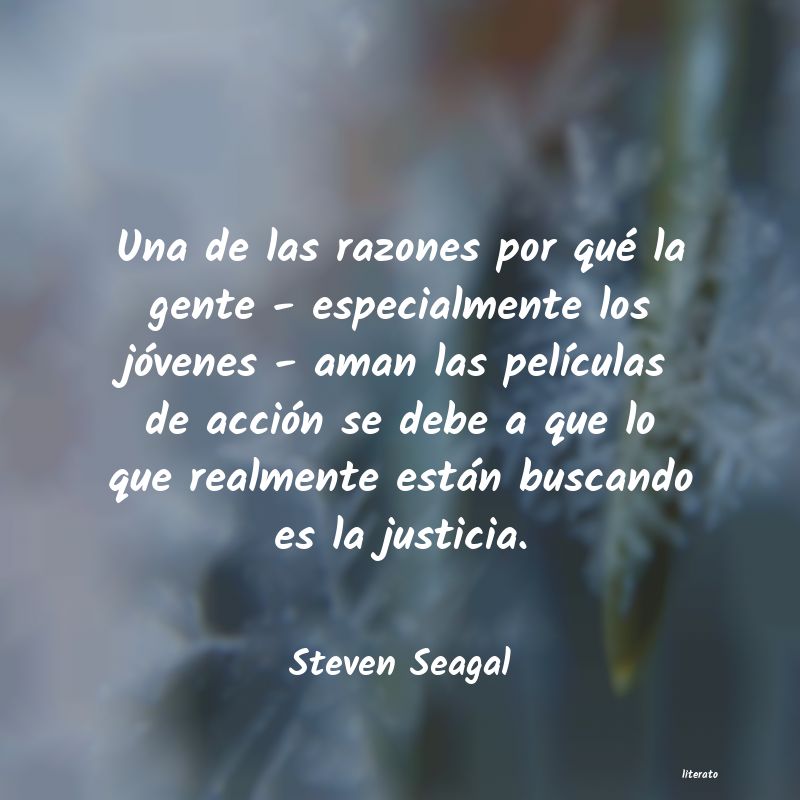 Frases de Steven Seagal