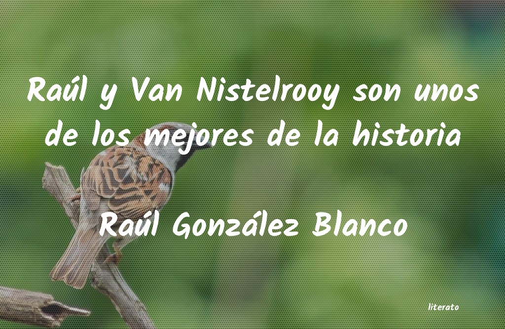 frases de Raúl González Blanco