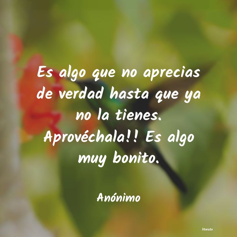 frases