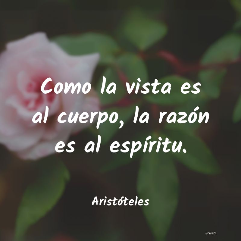 frases de AristÃ³teles