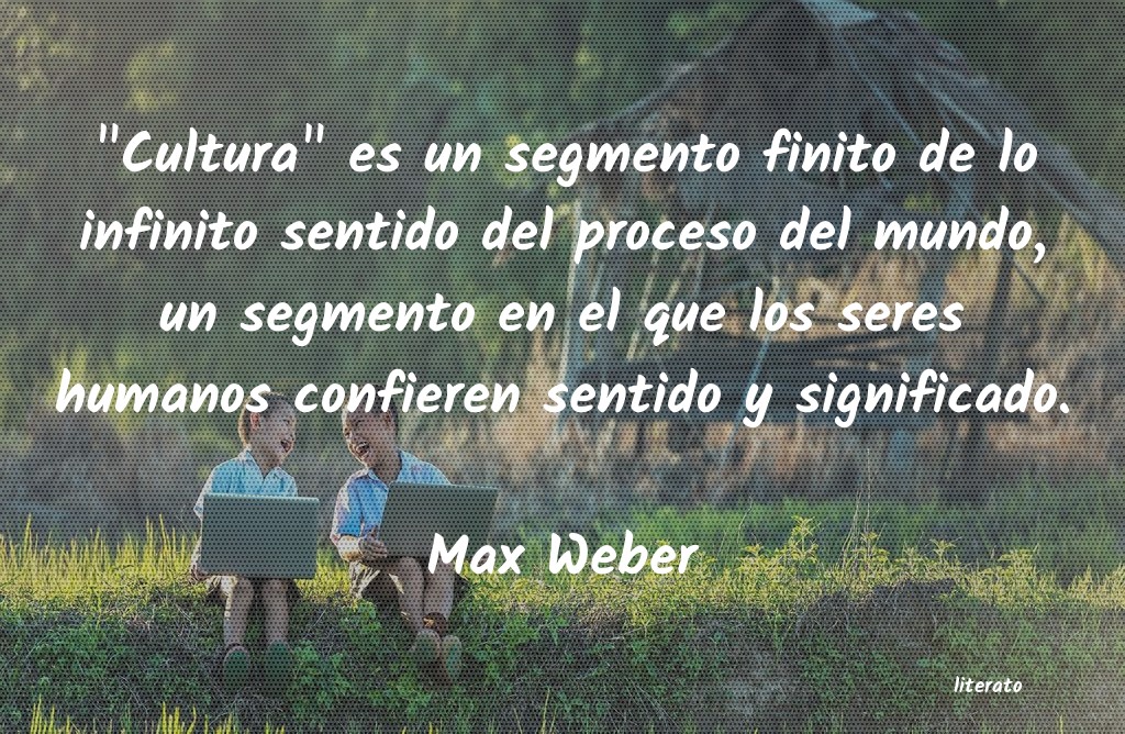 Frases de Max Weber