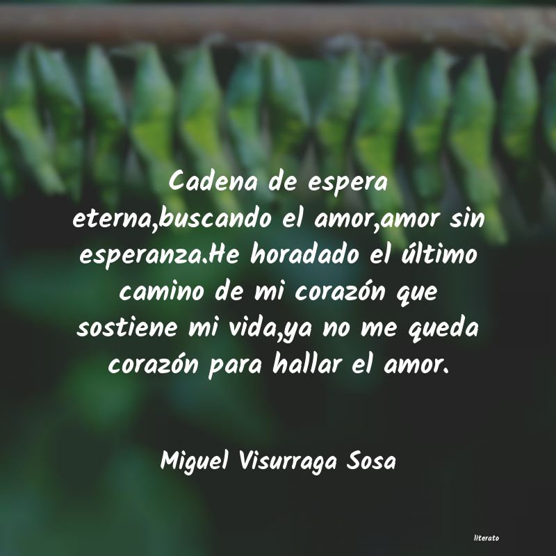 Frases de Miguel Visurraga Sosa