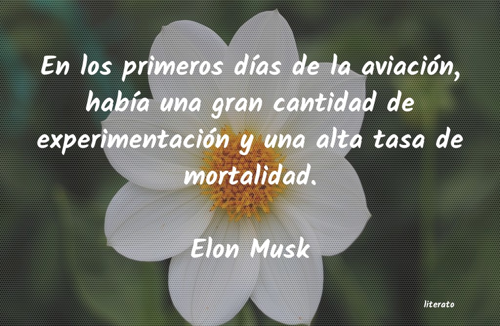 frases de Elon Musk