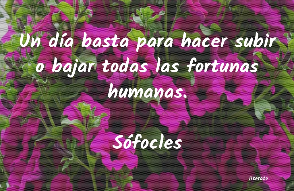 Frases de Sófocles