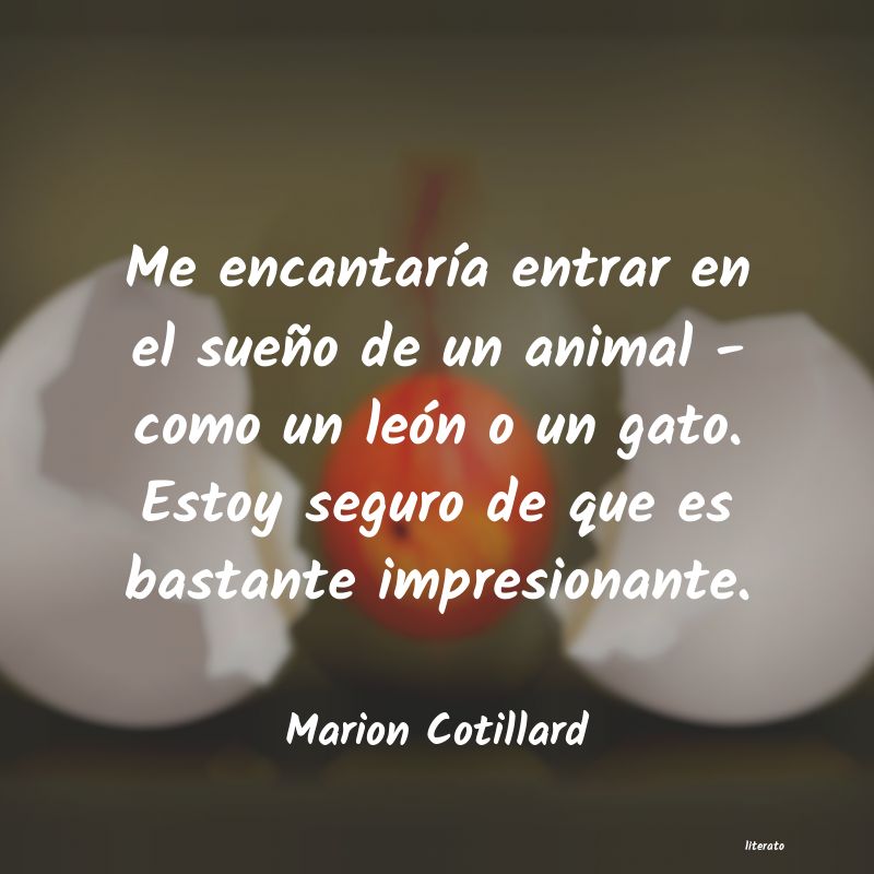 Frases de Marion Cotillard