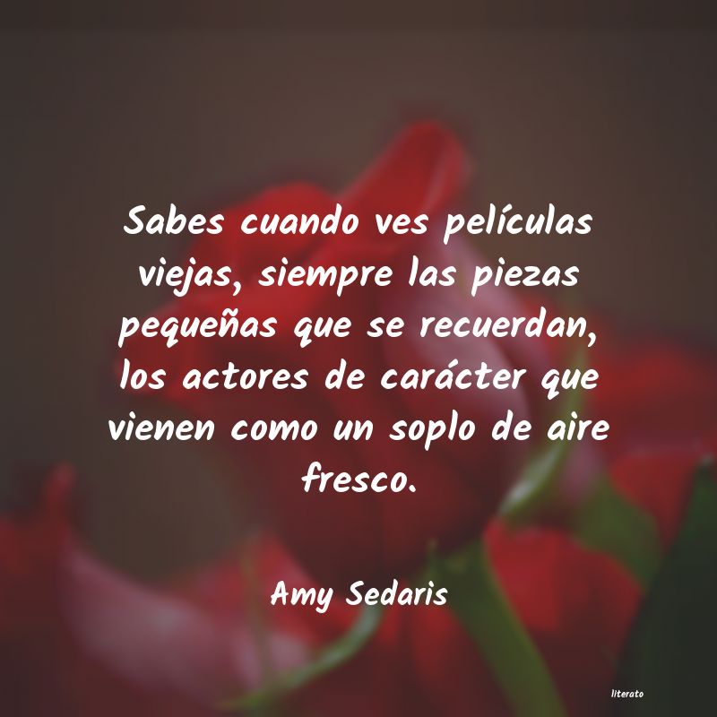 Frases de Amy Sedaris