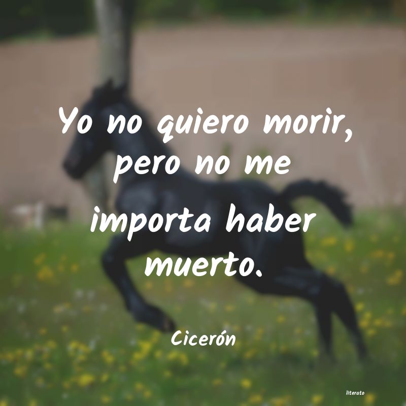 frases de Cicerón